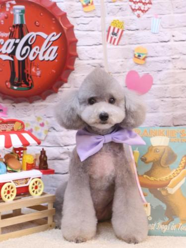 20230928宇宙くん